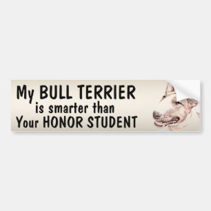 Pegatina Para Coche Bull terrier - más elegante que estudiante -