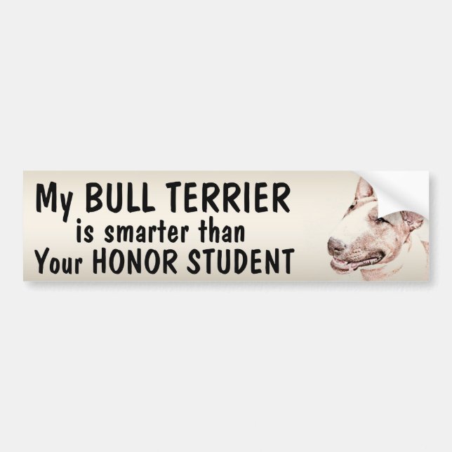 Pegatina Para Coche Bull terrier - más elegante que estudiante - (Frente)