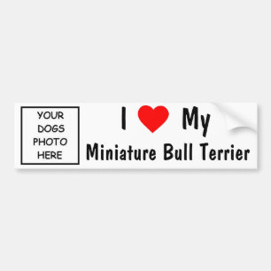Pegatina Para Coche Bull terrier miniatura