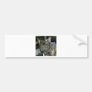 Pegatina Para Coche bulldog francés brindle