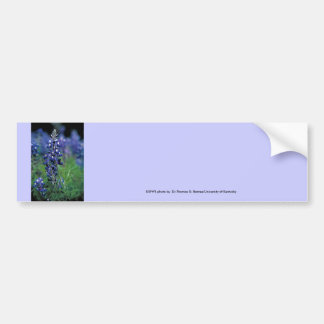 Pegatina Para Coche Bumbersticker/Bluebonnet de Tejas