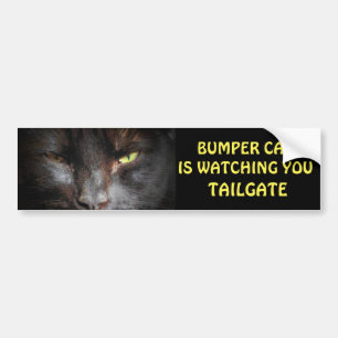 Pegatina Para Coche Bumper Cat está viendo TAILGATE 19