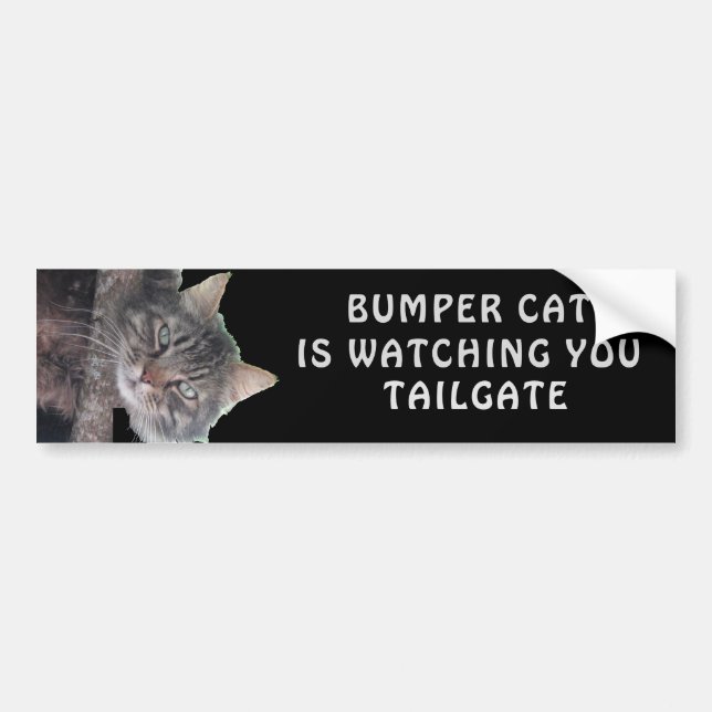 Pegatina Para Coche Bumper Cat está viendo TAILGATE 45 (Frente)