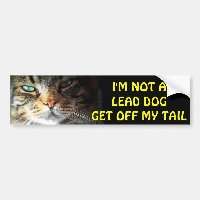 Pegatina Para Coche Bumper Cat No Es Un Perro Líder (Frente)