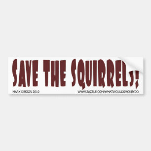Pegatina Para Coche bumper_sticker24