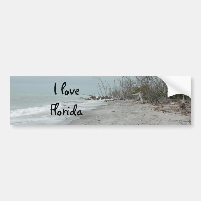 Pegatina Para Coche Bumper Sticker, amo Florida (Frente)