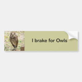 Pegatina Para Coche Bumper Sticker, Brake for Owls, Burrowing Owl