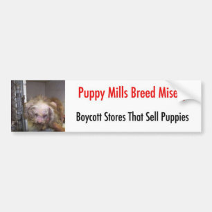 Pegatina Para Coche Bumpersticker