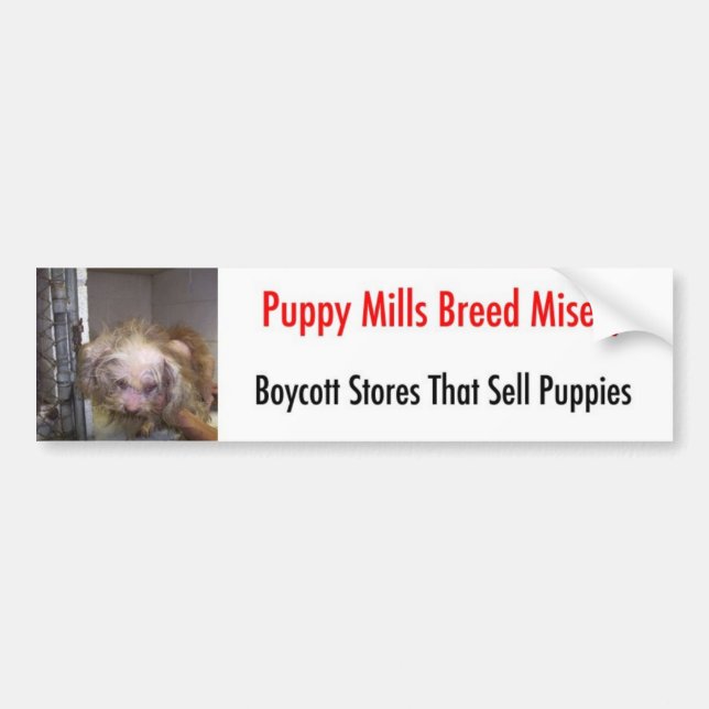 Pegatina Para Coche Bumpersticker (Frente)