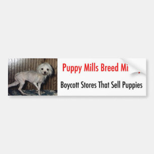 Pegatina Para Coche Bumpersticker