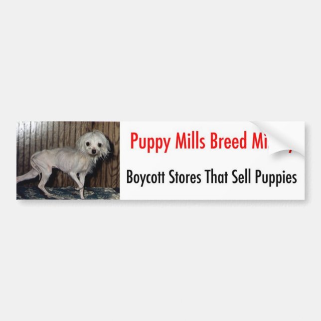 Pegatina Para Coche Bumpersticker (Frente)