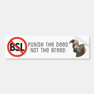 Pegatina Para Coche Bumpersticker Anti-BSL
