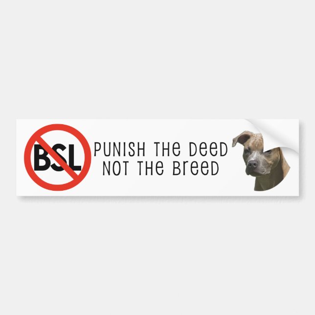 Pegatina Para Coche Bumpersticker Anti-BSL (Frente)