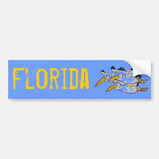 Pegatina Para Coche Bumpersticker del pelícano de la Florida (Frente)