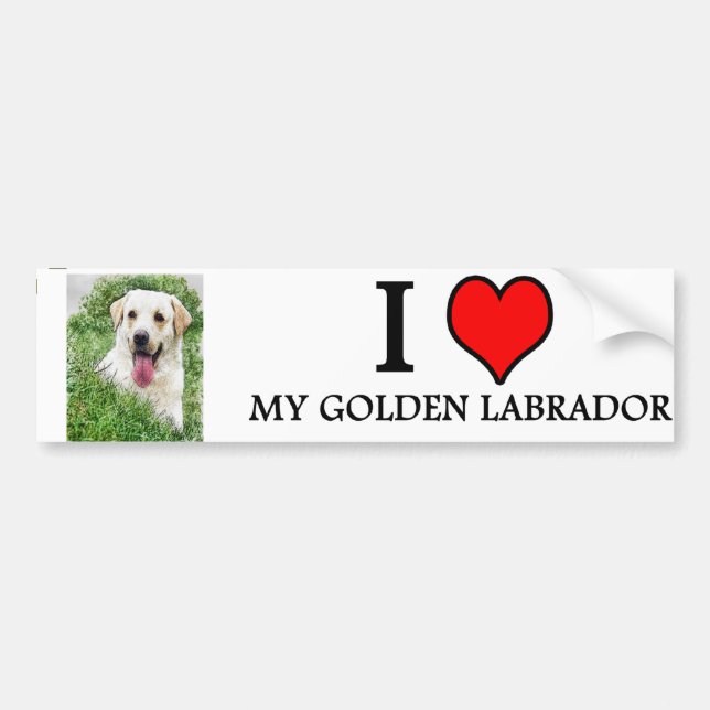 Pegatina Para Coche bumpersticker LABRADOR DE ORO (Frente)
