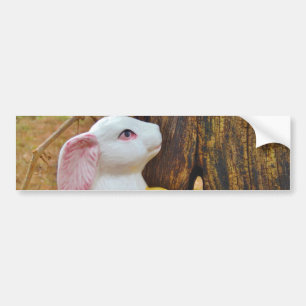 Pegatina Para Coche Bunny de Pascua