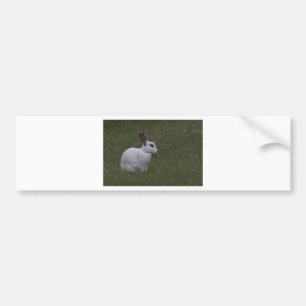 Pegatina Para Coche Bunny de punto blanco