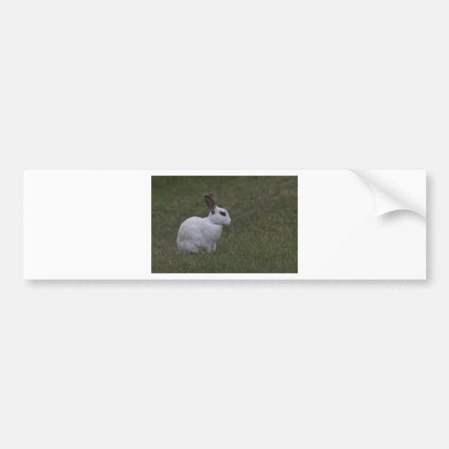Pegatina Para Coche Bunny de punto blanco (Frente)