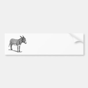 Pegatina Para Coche Burro