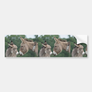 Pegatina Para Coche Burro pequeño