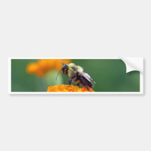 Pegatina Para Coche Busy Bee