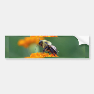 Pegatina Para Coche Busy Bee