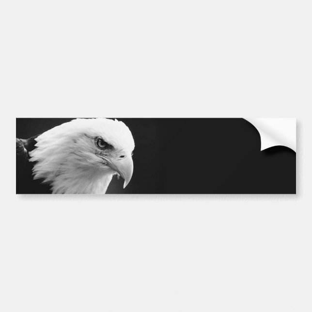 Pegatina Para Coche BW Bald Eagle (Frente)