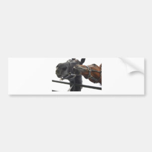 Pegatina Para Coche Caballo alrededor