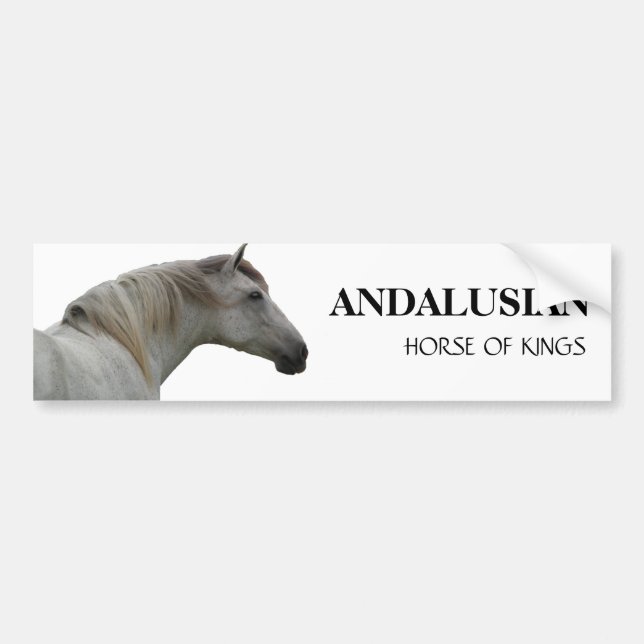 PEGATINA PARA COCHE CABALLO ANDALUZ 2 (Frente)
