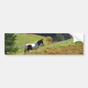 Pegatina Para Coche Caballo blanco y marrón, estanque otoñal