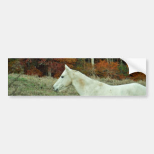 Pegatina Para Coche Caballo de crema blanca en campo otoñal