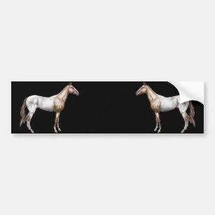 Pegatina Para Coche Caballo de Nez Perce