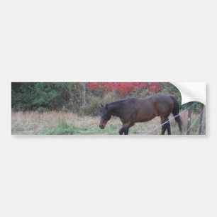 Pegatina Para Coche Caballo marrón en los árboles de otoño rojos