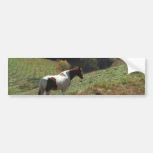 Pegatina Para Coche Caballo marrón y blanco en el estanque de otoño