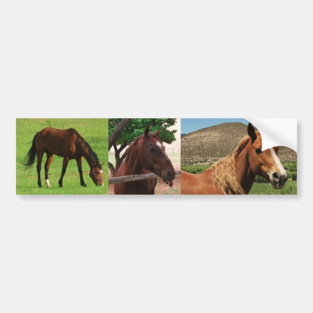 Pegatina Para Coche Caballos (Frente)