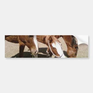 Pegatina Para Coche Caballos