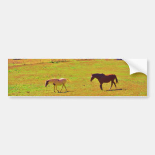 Pegatina Para Coche Caballos en un campo de color arcoiris