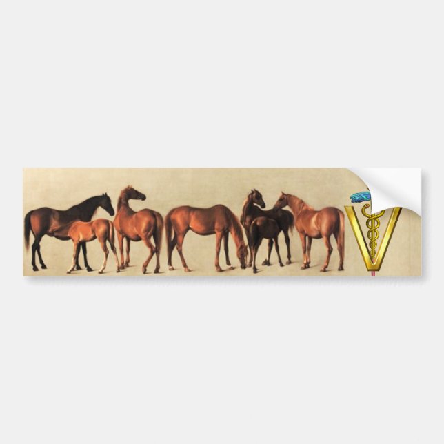 PEGATINA PARA COCHE CABALLOS/MARES Y FOALES CADUCEUS VETERINARIO SÍMBO (Frente)