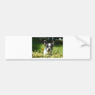 Pegatina Para Coche Cachorro de Bulldog Francés Blanco y Negro