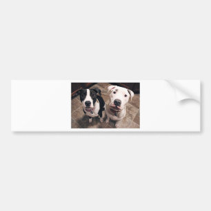 Pegatina Para Coche cachorros adorables de pitbull perros