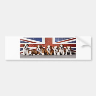 Pegatina Para Coche Cachorros de bulldog ingleses