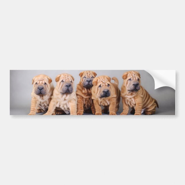 Pegatina Para Coche Cachorros shar pei chinos (Frente)
