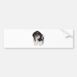 Pegatina Para Coche Cachorros Shitzu Shih Tzu