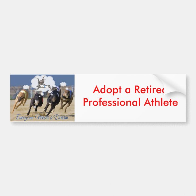 Pegatina Para Coche Cada uno necesita un sueño (Frente)