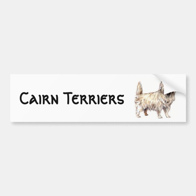 Pegatina Para Coche Cairn Terrier (Frente)
