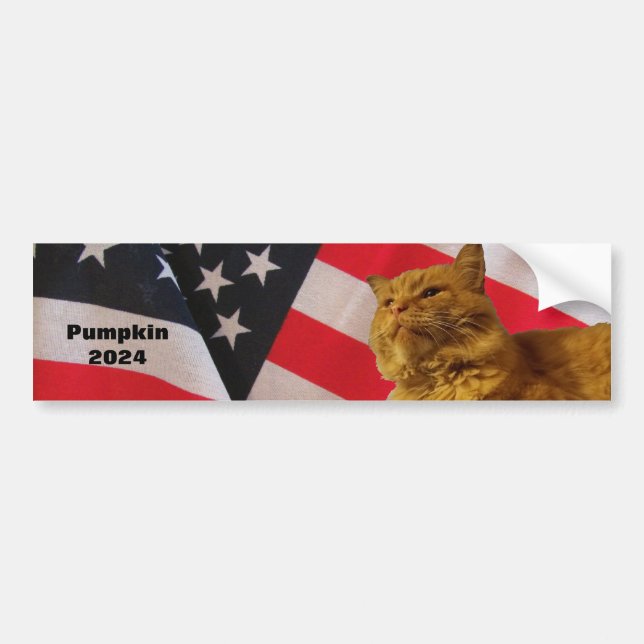 Pegatina Para Coche Calabaza para el presidente Bandera Fondo Palo Par (Frente)