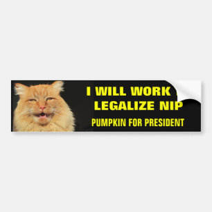 Pegatina Para Coche Calabaza para el presidente legalizar nip- audaz