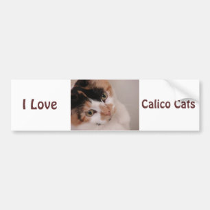 Pegatina Para Coche Calico Beauty Cat