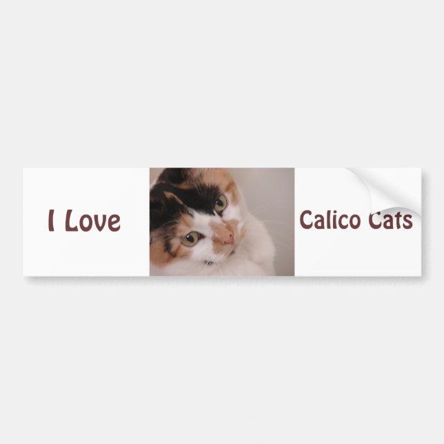 Pegatina Para Coche Calico Beauty Cat (Frente)