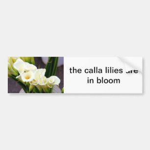 Pegatina Para Coche calla lilies bumper sticker